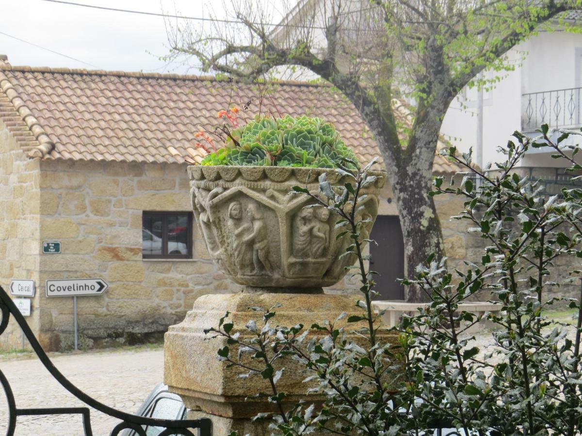 Casa Sao Joao Villa Sao Joao da Serra ภายนอก รูปภาพ
